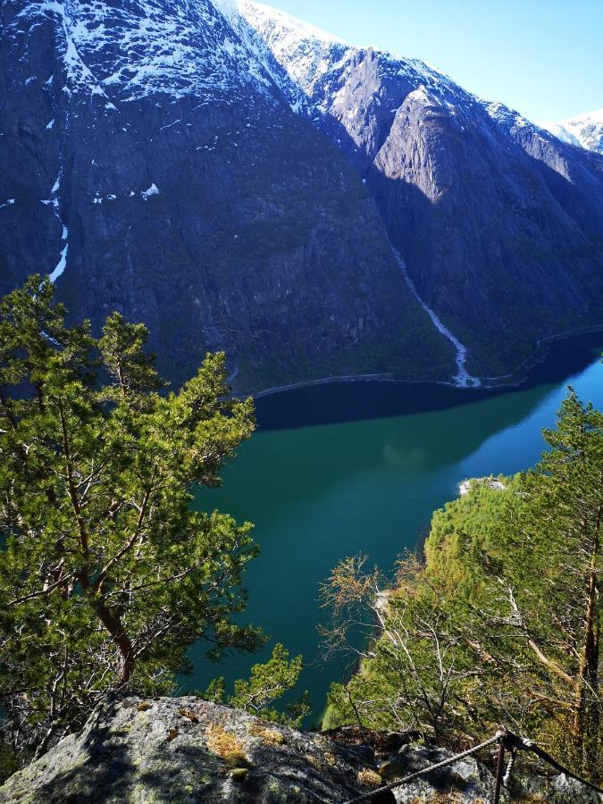 Eidfjord Hotel Ngoại thất bức ảnh